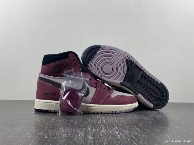 Reps LUCY 1 Gore-Tex Element DB2889-500 Jordan Air 0424